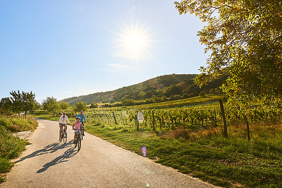 Unser Burgenland wird von der Sonne geliebt! 