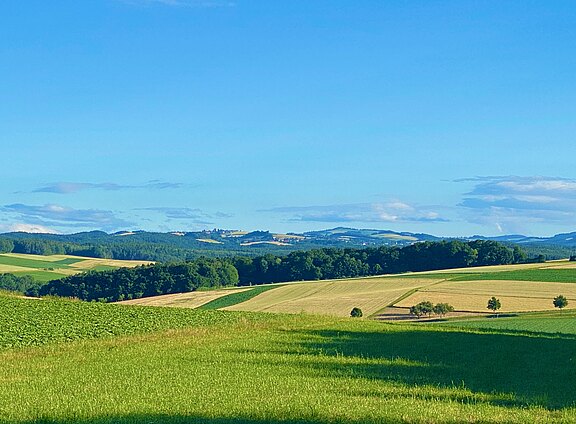 Aktivität in der Natur